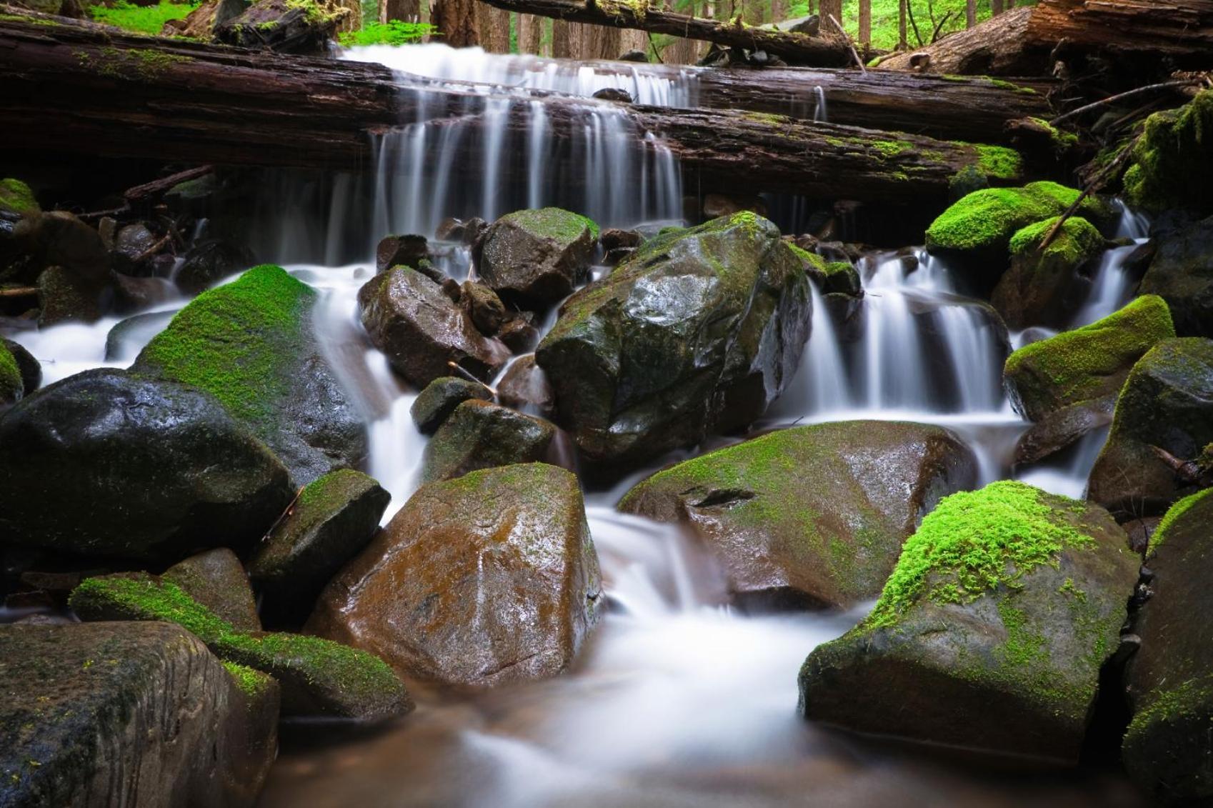 Sol Duc Hot Springs Resort Ovington Exterior foto